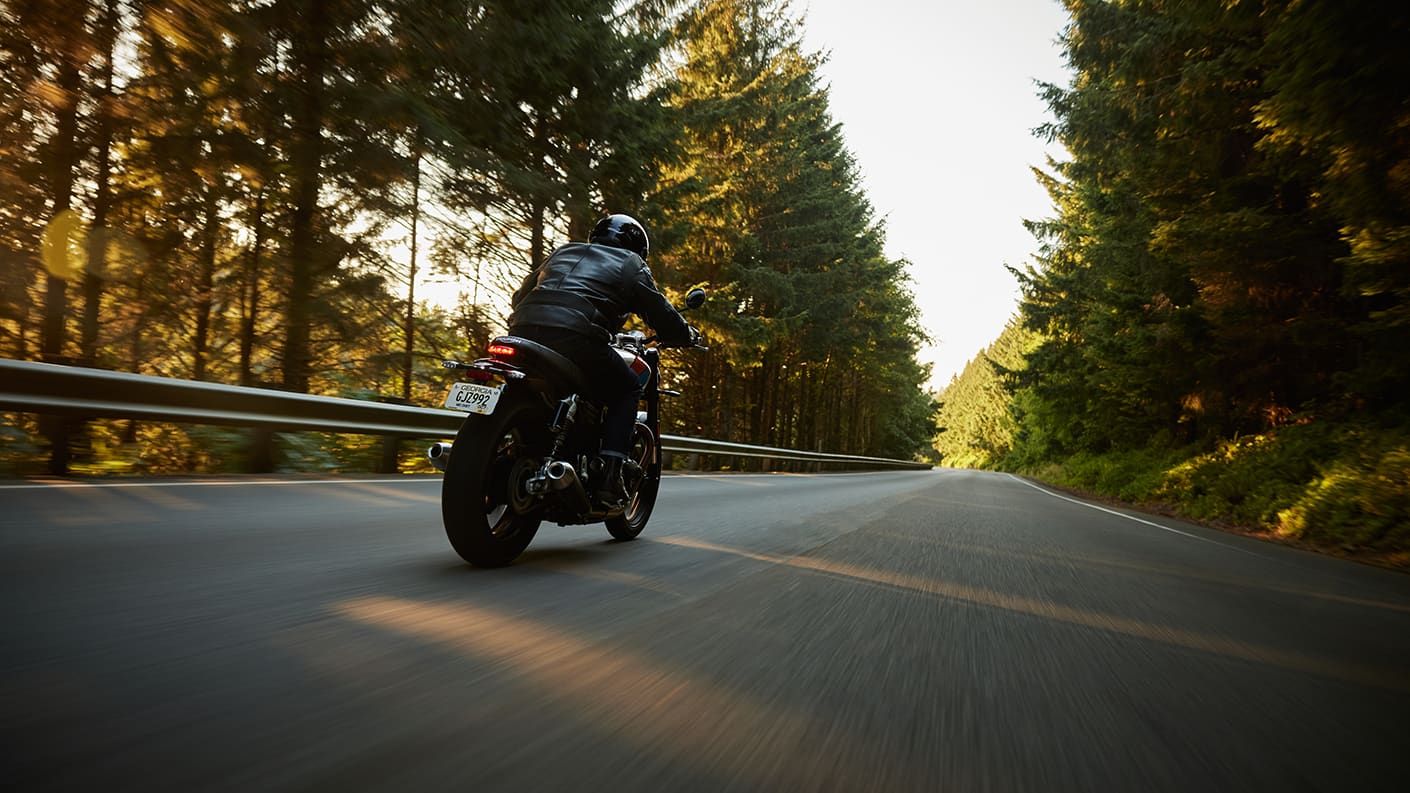 Triumph Speed Twin 900 riding away from camera on forest lined road