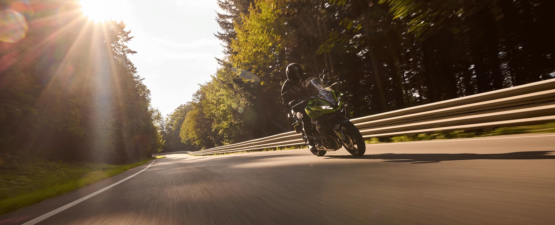 Tiger Sport 660 in Roulette Green riding down a road at sunset